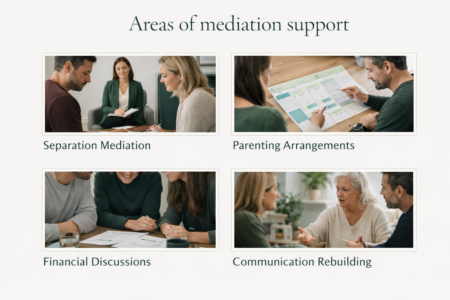 Areas of mediation support